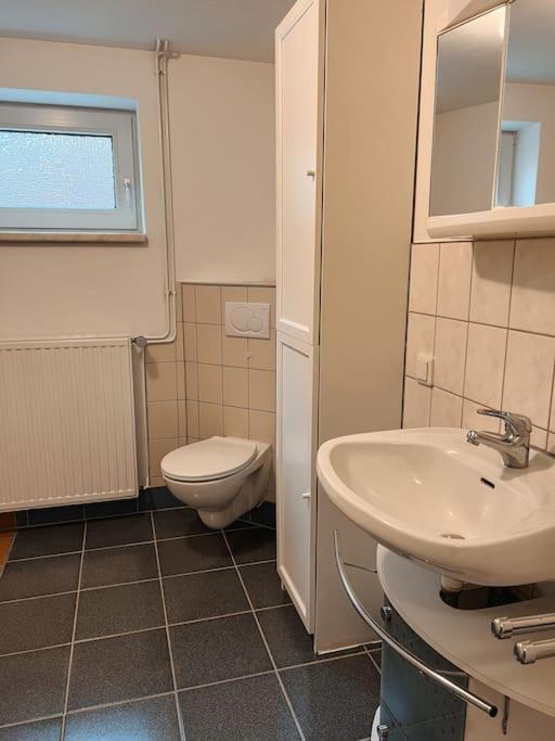 Apartment Gemuetliche In An Der Elbe Bleckede